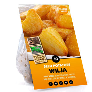 10 Pack of Wilja Seed Potato Second Early