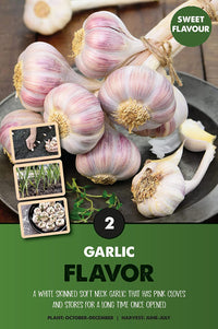 Flavor Garlic Bulbs