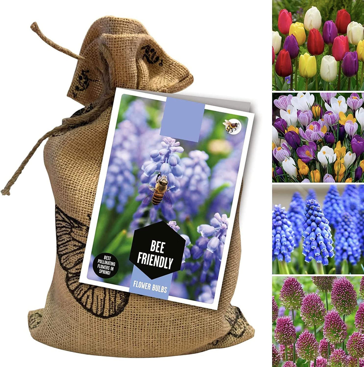 Bee Friendly Mixed Flower Bulbs