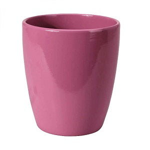 Ceramic Plant Pot