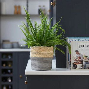 Grey Woven Plant Pot