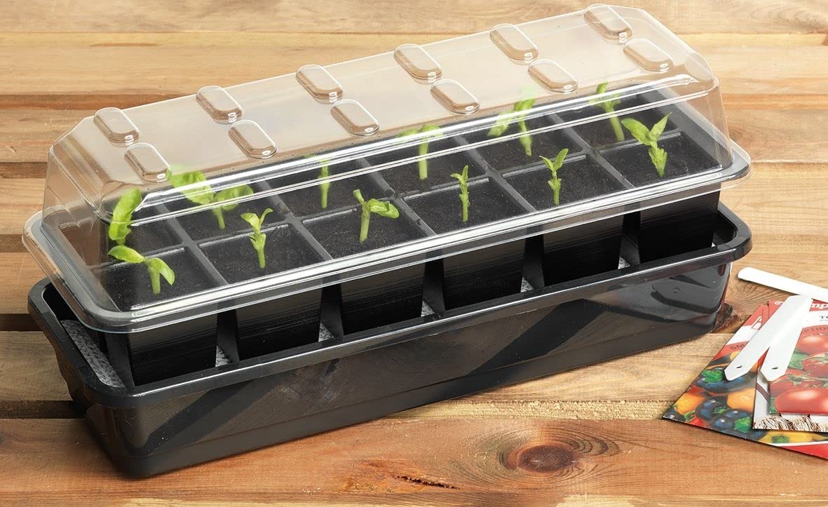 Self Watering Windowsill Propagator