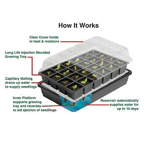 Self Watering Windowsill Propagator