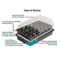 Self Watering Windowsill Propagator