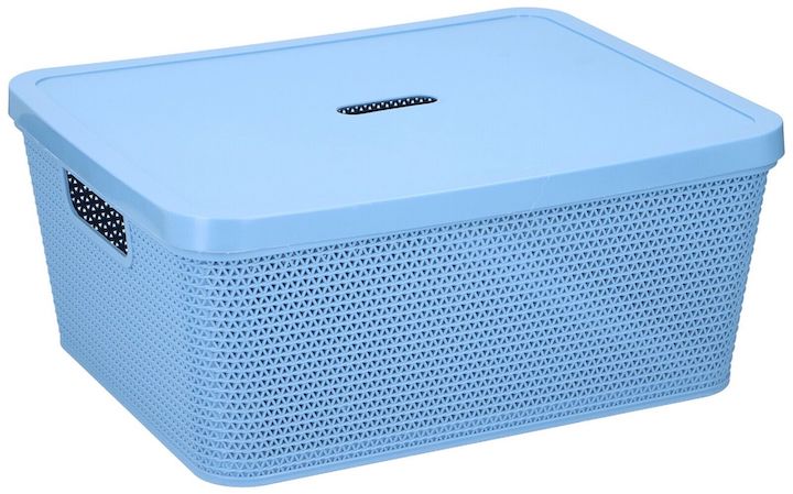 Mini Blue Plastic Storage Box with Lid