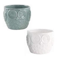 Ceramic Owl Plant Pot - Set of 2