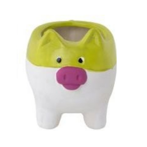 Terracotta Pig Pot