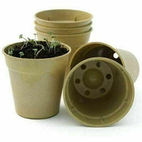 2 Litre Biodegradable Plant Pot - Pack of 2