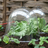 Large Plastic Victorian Cloche