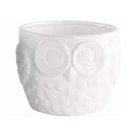 Ceramic Owl Plant Pot - Set of 2